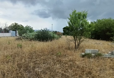 0 , 0 ,0,Terreno agricolo,In vendita,0,1010 0 , 0 ,0,Terreno agricolo,In vendita,0,1010