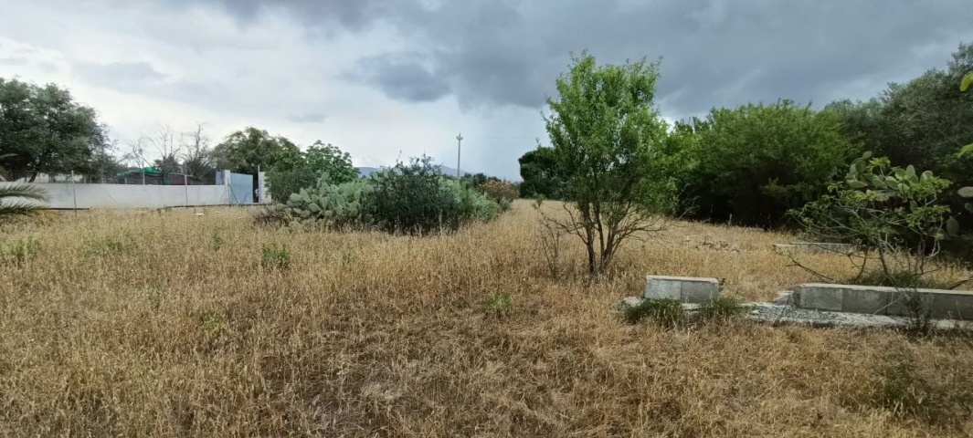 0 , 0 ,0,Terreno agricolo,In vendita,0,1010
