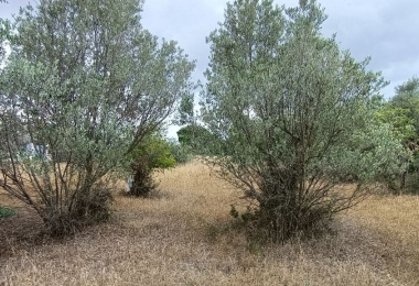 0 , 0 ,0,Terreno agricolo,In vendita,0,1010 0 , 0 ,0,Terreno agricolo,In vendita,0,1010