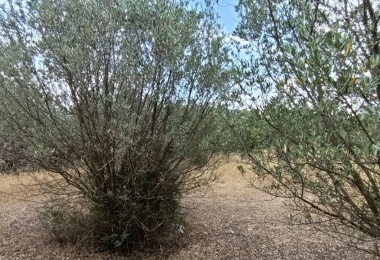 0 , 0 ,0,Terreno agricolo,In vendita,0,1010 0 , 0 ,0,Terreno agricolo,In vendita,0,1010