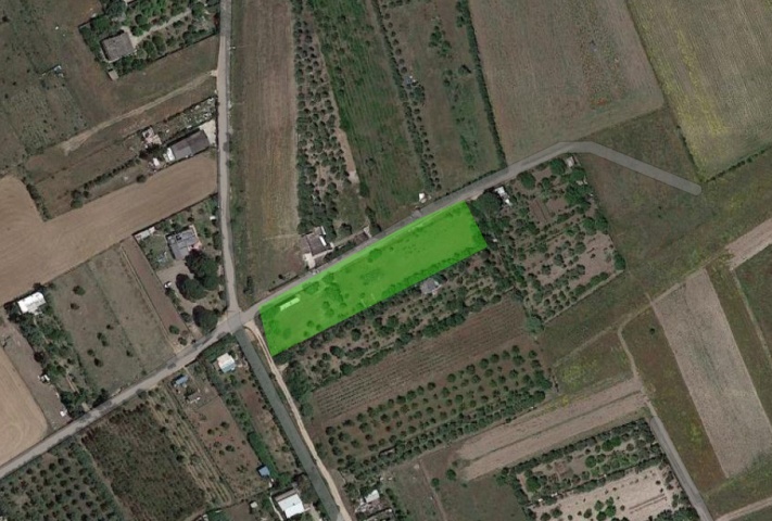 0 , 0 ,0,Terreno agricolo,In vendita,0,1010