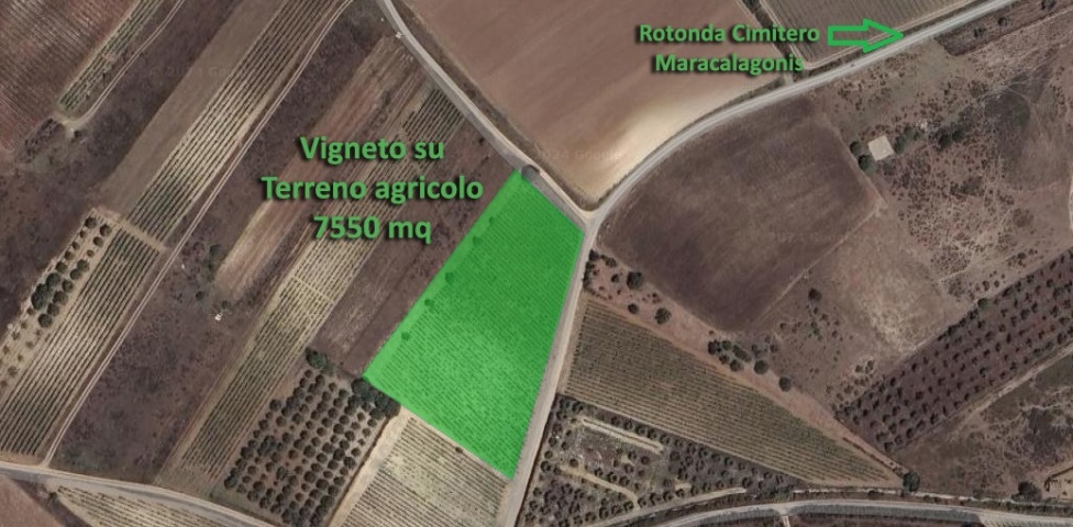 0 , 0 ,0,Terreno agricolo,In vendita,0,1020