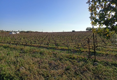 0 , 0 ,0,Terreno agricolo,In vendita,0,1020 0 , 0 ,0,Terreno agricolo,In vendita,0,1020