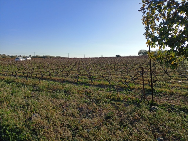 0 , 0 ,0,Terreno agricolo,In vendita,0,1020