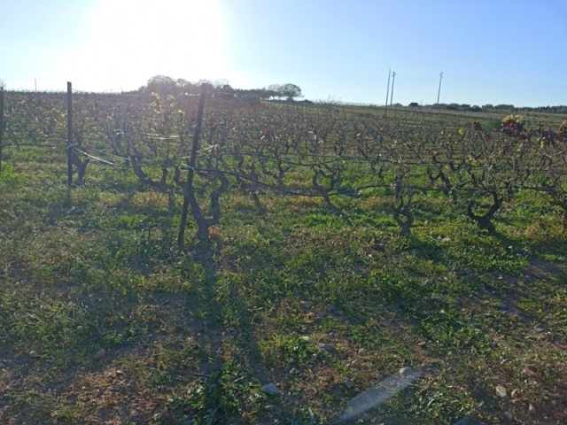 0 , 0 ,0,Terreno agricolo,In vendita,0,1020