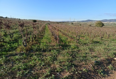 0 , 0 ,0,Terreno agricolo,In vendita,0,1020 0 , 0 ,0,Terreno agricolo,In vendita,0,1020