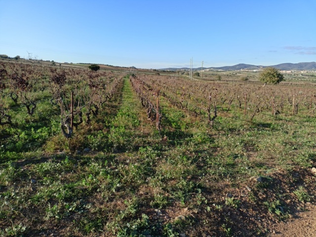 0 , 0 ,0,Terreno agricolo,In vendita,0,1020