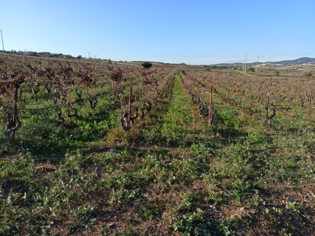 0 , 0 ,0,Terreno agricolo,In vendita,0,1020