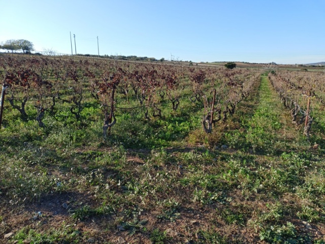 0 , 0 ,0,Terreno agricolo,In vendita,0,1020