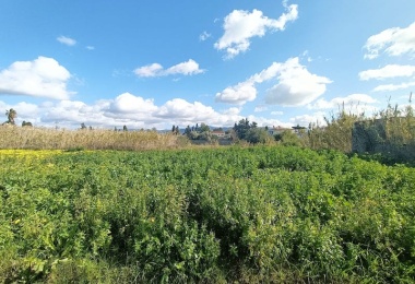 0 , 0 ,0,Terreno agricolo,In vendita,0,1032 0 , 0 ,0,Terreno agricolo,In vendita,0,1032