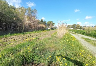 0 , 0 ,0,Terreno agricolo,In vendita,0,1032