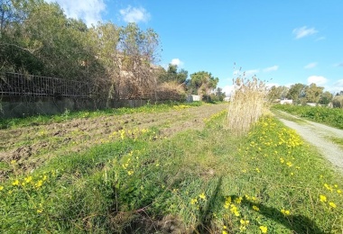 0 , 0 ,0,Terreno agricolo,In vendita,0,1032 0 , 0 ,0,Terreno agricolo,In vendita,0,1032