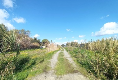 0 , 0 ,0,Terreno agricolo,In vendita,0,1032 0 , 0 ,0,Terreno agricolo,In vendita,0,1032
