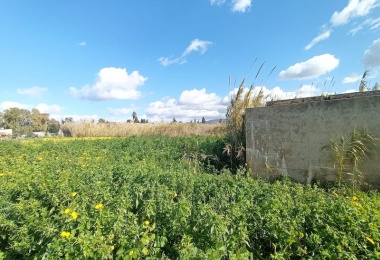 0 , 0 ,0,Terreno agricolo,In vendita,0,1032 0 , 0 ,0,Terreno agricolo,In vendita,0,1032
