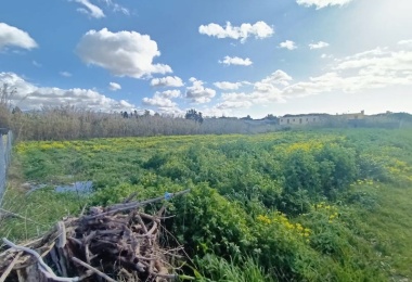0 , 0 ,0,Terreno agricolo,In vendita,0,1032 0 , 0 ,0,Terreno agricolo,In vendita,0,1032