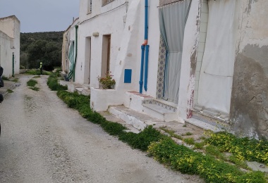 0 , 0 ,1 BagnoBathrooms,Casa indipendente,In vendita,0,1037 0 , 0 ,1 BagnoBathrooms,Casa indipendente,In vendita,0,1037