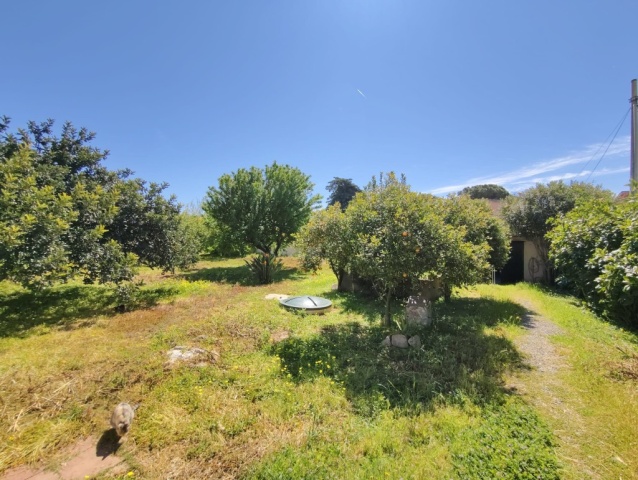 3 Stanze da Letto Stanze da Letto, 0 ,3 BathroomsBathrooms,Villa,In vendita,0,1047