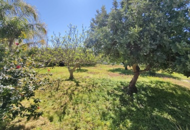 3 Stanze da Letto Stanze da Letto, 0 ,3 BathroomsBathrooms,Villa,In vendita,0,1047 3 Stanze da Letto Stanze da Letto, 0 ,3 BathroomsBathrooms,Villa,In vendita,0,1047