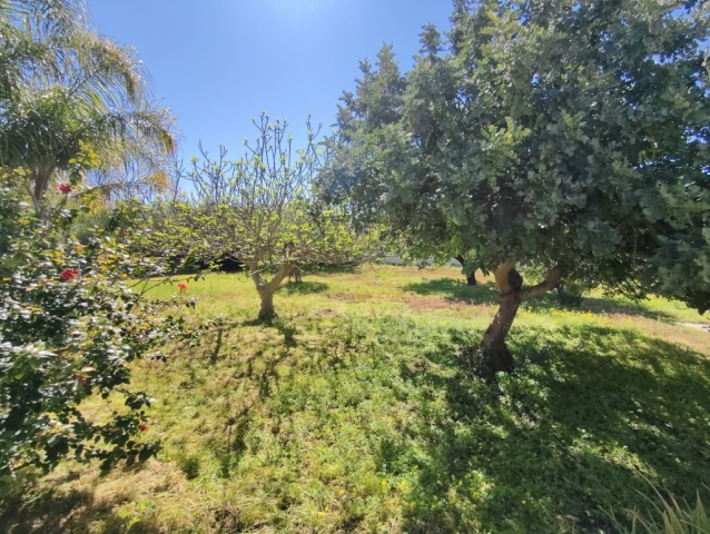 3 Stanze da Letto Stanze da Letto, 0 ,3 BathroomsBathrooms,Villa,In vendita,0,1047
