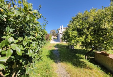 3 Stanze da Letto Stanze da Letto, 0 ,3 BathroomsBathrooms,Villa,In vendita,0,1047 3 Stanze da Letto Stanze da Letto, 0 ,3 BathroomsBathrooms,Villa,In vendita,0,1047
