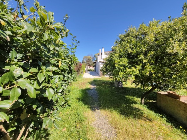 3 Stanze da Letto Stanze da Letto, 0 ,3 BathroomsBathrooms,Villa,In vendita,0,1047